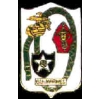 USMC MARINE CORPS 6TH REGIMENT PIN