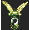 POW MIA EAGLE LOGO PIN