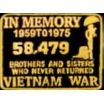 VIETNAM WAR IN MEMORY OF BROTHERS AND SISTERS PIN
