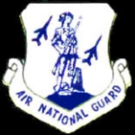 AIR NATIONAL GUARD PIN