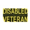 DISABLED VETERAN PIN SCRIPT GOLD TONE VET PIN