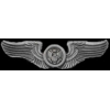USAF AIR FORCE AIR CREW WINGS LARGE PIN
