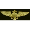 USN NAVY PILOT PIN LARGE GOLD PILOT WING PIN