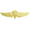 USN NAVY JUMP PIN LARGE GOLD JUMP WINGS PIN