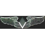 WOMENS WASP PILOT WING LARGE PIN