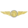 USN NAVY OBSERVER WING GOLD LARGE PIN