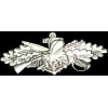 USN NAVY SEABEES PIN FULL SIZE COMBAT SERVICE WING PIN