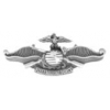 USMC MARINE CORPS FLEET MARINE FORCE WING LARGE PIN
