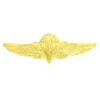 USN NAVY JUMP PIN MINI WING PIN