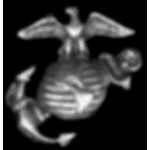 USMC MARINE CORPS EAGLE GLOBE ANCHOR ANQ SILVER MICRO MINI PIN