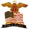 OPERATION NOBLE EAGLE US FLAG AND EAGLE BANNER PIN