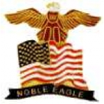 OPERATION NOBLE EAGLE US FLAG AND EAGLE BANNER PIN