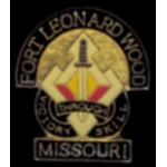 US ARMY PIN FORT LEONARD WOOD PIN