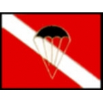 DIVE AND JUMP PIN DX