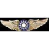FLYING TIGERS MINI WING GOLD PIN