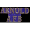 US AIR FORCE ARNOLD AFB SCRIPT PIN