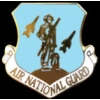 AIR NATIONAL GUARD LOGO BLUE PIN