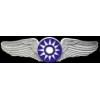 FLYING TIGERS MINI WING SILVER PIN