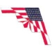 B-2 SPIRIT STEALTH BOMBER USA FLAG PIN