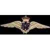 ROYAL AIR FORCE PIN RAF PILOT WINGS PIN GOLD LARGE PILOT WING PIN ROYAL AIR FORCE PIN RAF PILOT WINGS PIN GOLD LARGE PILOT WING PIN