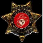 USMC MARINE CORPS MILITARY POLICE 50TH ANNIVERSAY PIN