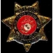 USMC MARINE CORPS MILITARY POLICE 50TH ANNIVERSAY PIN