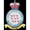 ROYAL AIR FORCE PIN RAF AEROBATIC TEAM RED ARROWS PIN