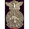 US AIR FORCE PIN FIRE PROTECTION MINI BADGE USAF PINS