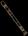 RECORDER PIN