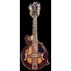 MANDOLIN PIN