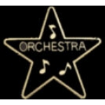 ORCHESTRA STAR AWARD PIN