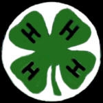 4H PIN CLUB LARGE LOGO PINS