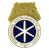 INTERNATIONAL BROTHERHOOD OF TEAMSTERS UNION PIN