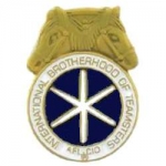 INTERNATIONAL BROTHERHOOD OF TEAMSTERS UNION PIN