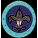 BOY SCOUTS PINS LOGO PIN