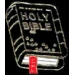 BIBLE PIN CHRISTIAN PIN