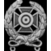 EXPERT SHARPSHOOTER BADGE US MILITARY PIN