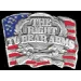 THE RIGHT TO BEAR ARMS PIN USA FLAG CAST PIN